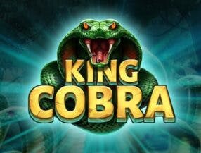 jogos gratis tv ao vivo